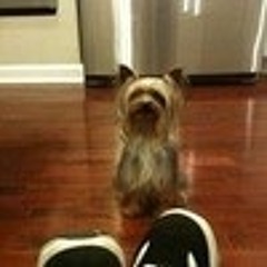 Catherine Satterwhite