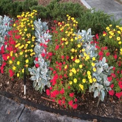 عمر القزابري تلاوة قرآن جميلة Qazabri Beautiful Quran Recitation ‎