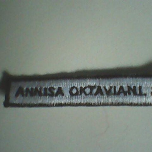 Annisa Oktaviani Sundara’s avatar