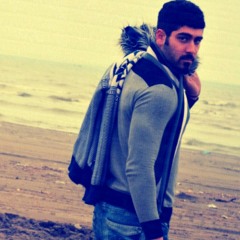 shayanrbk