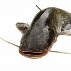 elbagre producciones