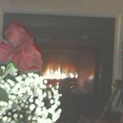 Cathy Bombaci-Gardiner