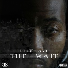 Link Ave