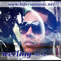 WERLING Mr W