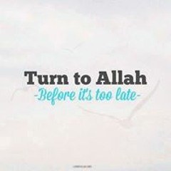 Hossam Mohamed Abubaker