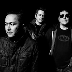 [MP.G] MY PET GENIUS