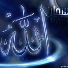 user929607510
