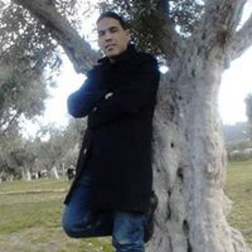 Hocine Saidi’s avatar