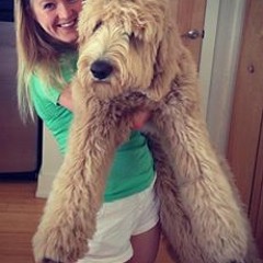 Carrie Mandela Nyden