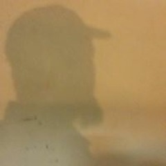 Love Stinks Bile Sex Reflex