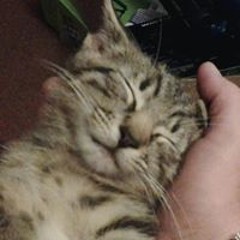 Emma Bradley Davenport