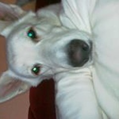 Vanessa Wunderlich 1