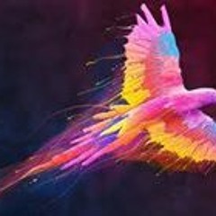 Aámìer Thàpâ MàGar