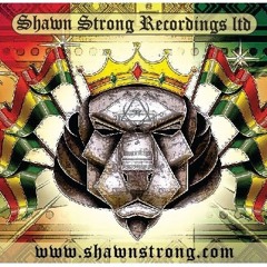 shawn.strong.ltd
