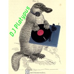 DJ Platypus