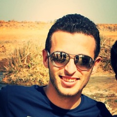 hesham el-ansary