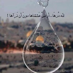 yomna hashish