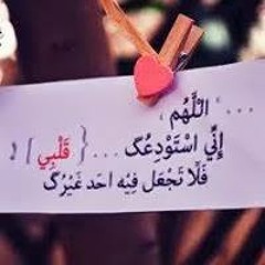 user544787800