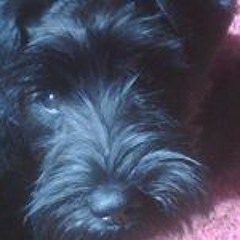 Viryasiddhi Spotswood