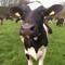 Ironfarmer aka Milky Dub Kid