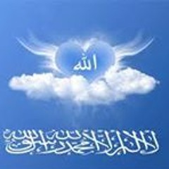 Ahmed Mahmoud Elaziz