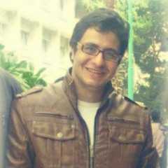 Beshoy N. Fadl