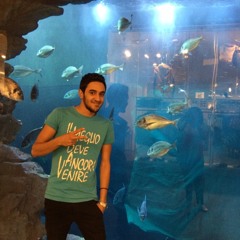 Ahmad Selim 2