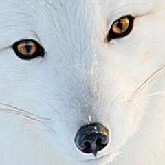 Myla Abanagn Toshinaga