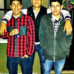 Milton Queiroz Garcia