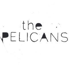 The-Pelicans