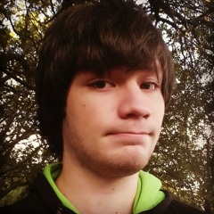 Jacques van der Horst