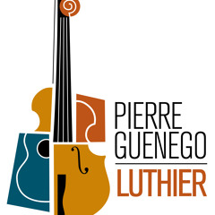 Pierre Guénégo - Luthier