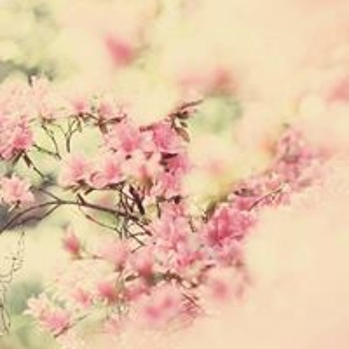 Pink Fine Art