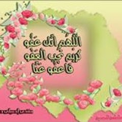 Shereen Lotfi AbdelFatteh