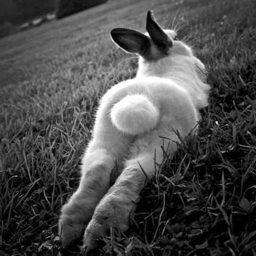 Ruth Barnett S Stream On Soundcloud Hear The World S Sounds soundcloud