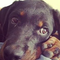 Alberto Stefano Provera