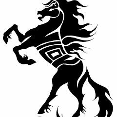 Nguyễn Long Hoàng Vũ