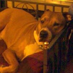 Paul Jason Broom Djluvin