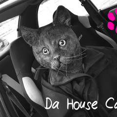 Da House Cats
