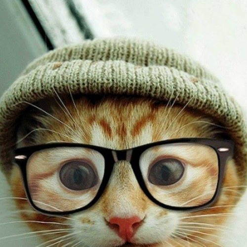 Trent Reznor and Atticus Ross - Hand Covers Bruise