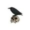 sillycrow