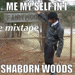 shaborn woods