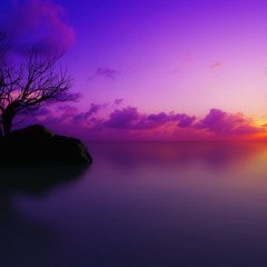 Onlywords3