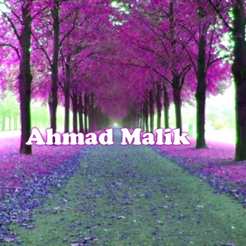 Ahmad Malik 13’s avatar