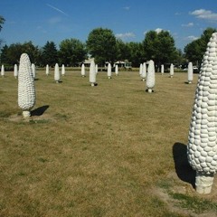 Thomas Joseph Sarzo Jr.