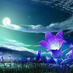 user180426280