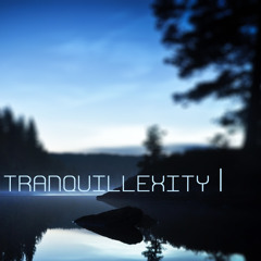 Tranquillexity - I broke my toaster ;(