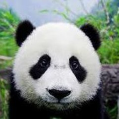 Krystian Kołodziejski 1