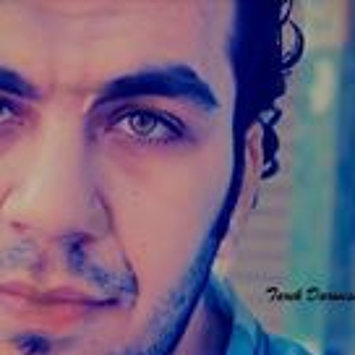 Mahmoud N. El Shibiny 1’s avatar