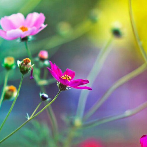 Stream Geiger counter by marineserre Listen online for free on SoundCloud